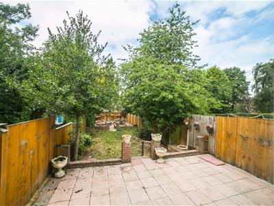 Picture 20